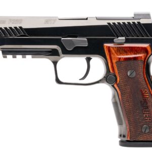 p320m17cerebd06.jpg