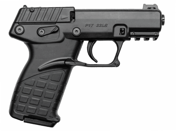 P17-Model-Feature-1.png