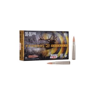 30-06_SPRINGFIELD_AMMO,_Hollow_Point_Tip,_180_Grain-109577.jpg