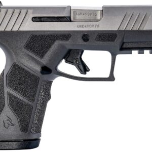 Taurus-GX2-1-GX2939G-725327636946.jpg