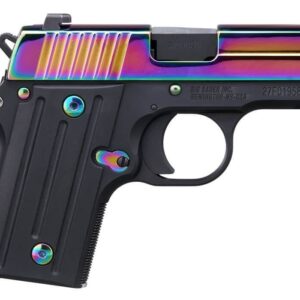 Sig-Sauer-P238-Rainbow-238-380-RBT2-798681683338.jpg