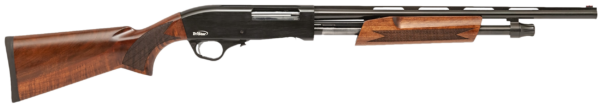 167823.png