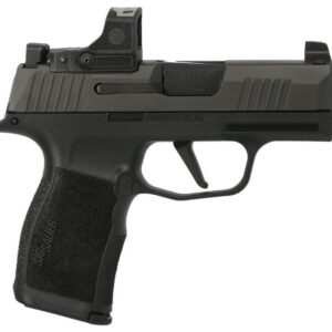 365x9bxr3prs1652.jpg