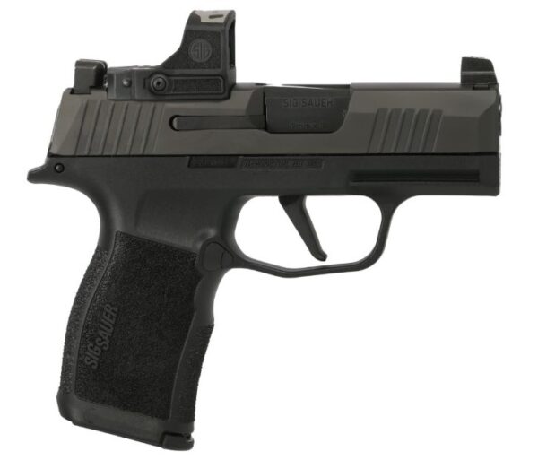 365x9bxr3prs1652.jpg