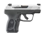 Ruger-LCP-MAX-13749-736676137497.jpg