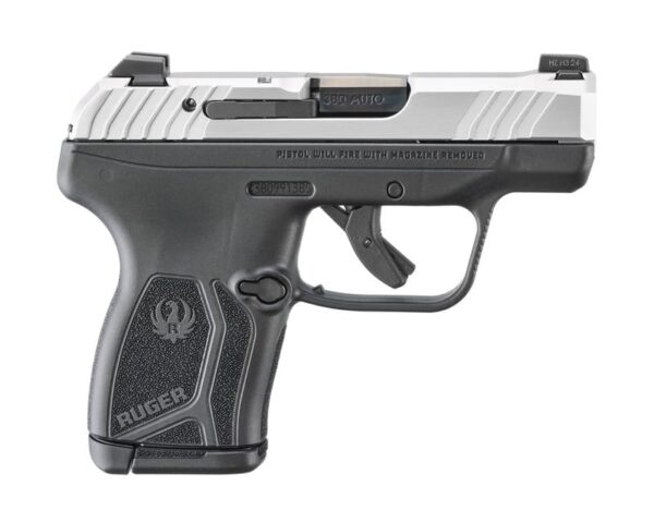 Ruger-LCP-MAX-13749-736676137497.jpg