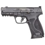 Smith-and-Wesson-M-P10mm-M2.0-Carry-Comp-14413-022188901795.jpg