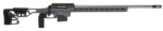 SAVAGE ARMS 110 ELITE PRECISION 223REM