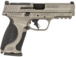 Smith & Wesson 14161 M&P M2.0  Full Size Frame 9mm Luger 10+1 4.63" Black Steel Barrel, Gray Optic Cut/Serrated Steel Slide, Gray Aluminum Frame w/Picatinny Rail, Black Polymer Grip