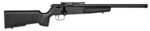 SAVAGE ARMS RASCAL TARGET 22LR CMPT BLACK