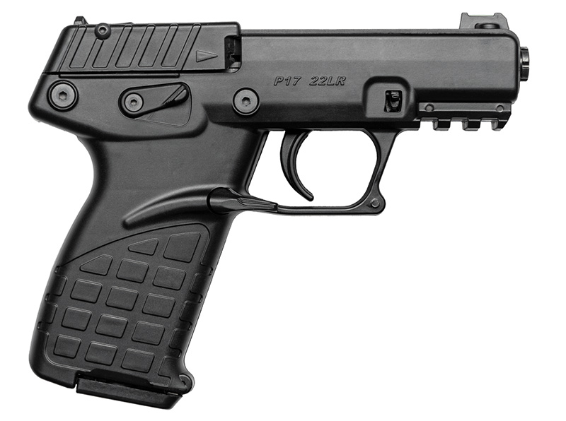 P17 22LR 3.93″ Black 16rd
