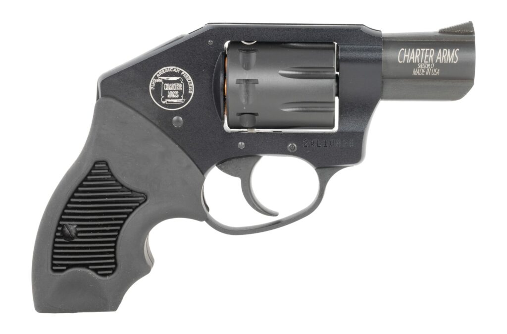 Charter Arms 12221 Walker  22 LR 8 Shot 2″