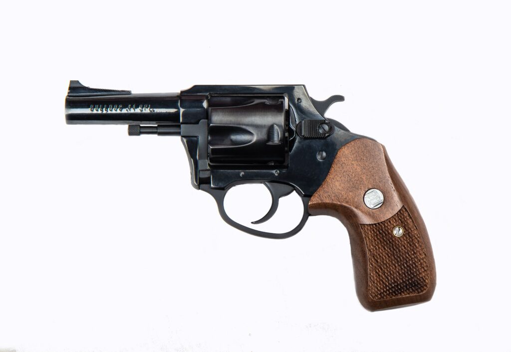 CHARTER ARMS CHARTER BULLDOG 44SPC BL/WD 3″
