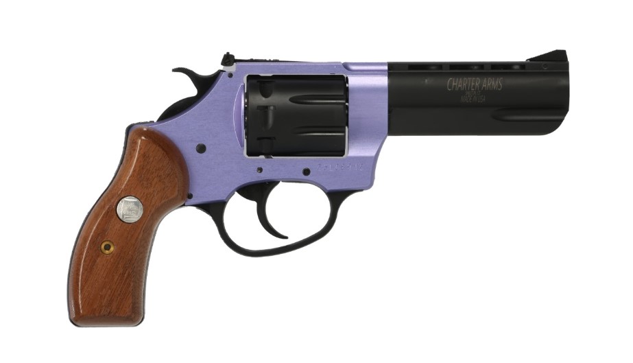 CHARTER ARMS PATHFINDER II 22LR LAV/WD 3.5″