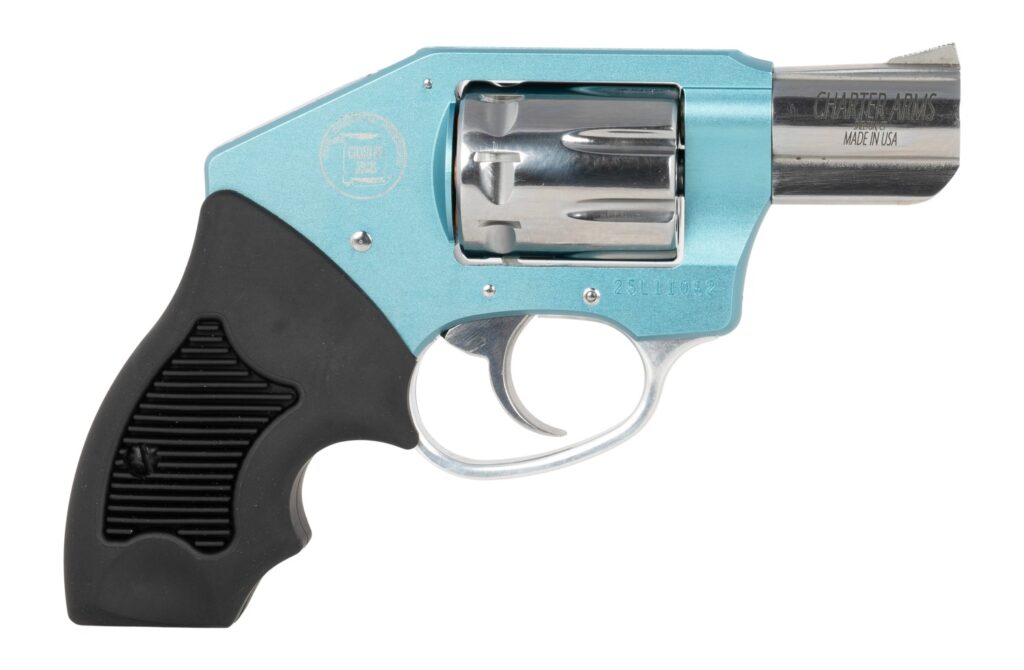 Charter Arms 52271 Walker  22 LR 8 Shot 2″