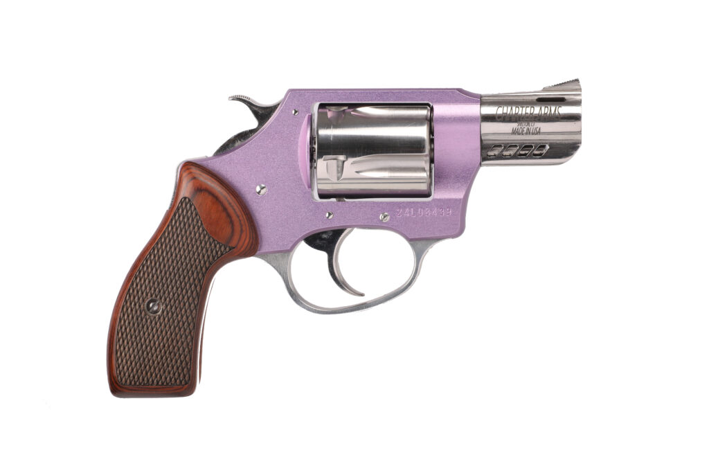 CHARTER ARMS COYOTE 380ACP PURPLE/SS 2″ 5RD