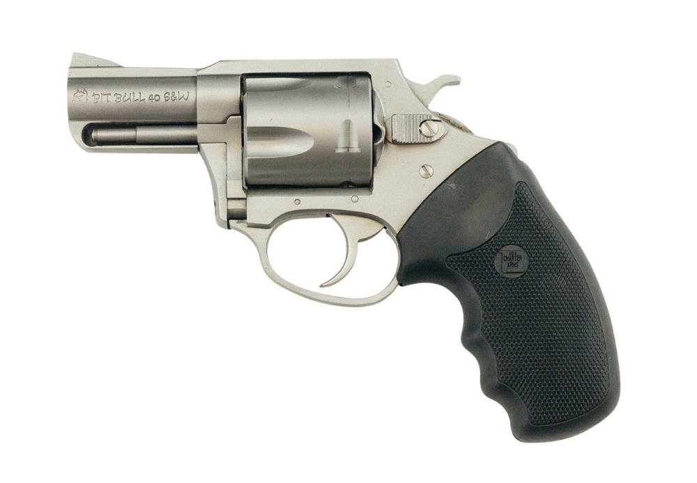CHARTER ARMS CHARTER PITBULL 40S&W SS 2.3″