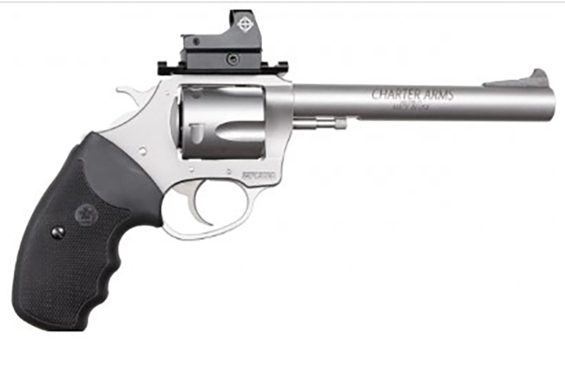 Char Target Mastiff 44SP 6″ SS 5rd