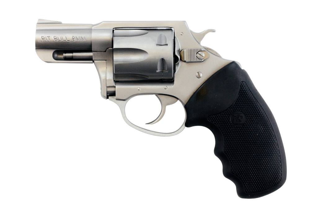 CHARTER ARMS CHARTER PITBULL 9MM SS 2″ FS