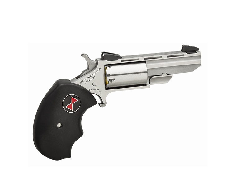 NORTH AMERICAN ARMS 22MAG 2″ BLACK WIDOW SS FS