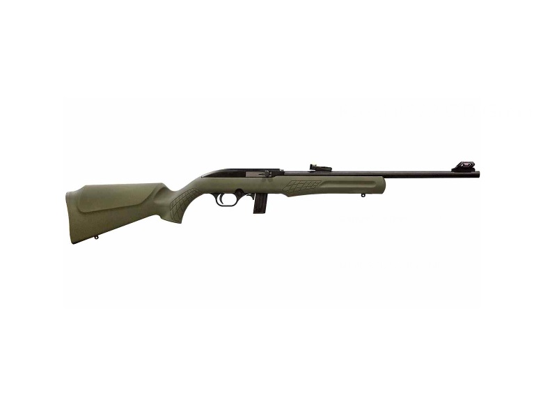 ROSSI RS22 22LR BLK/ODG 18″ 10+1