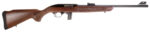 ROSSI RS22 22LR BLK/WD 18" 10+1