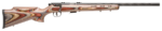 SAV 93BRJ 22WMR