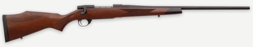 WBY VANGUARD 2 25-06 24 TB SPORTER