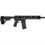 DB15 OBSIDIAN SERIES 300BLK 10'' (1)30RD MAG BLACK