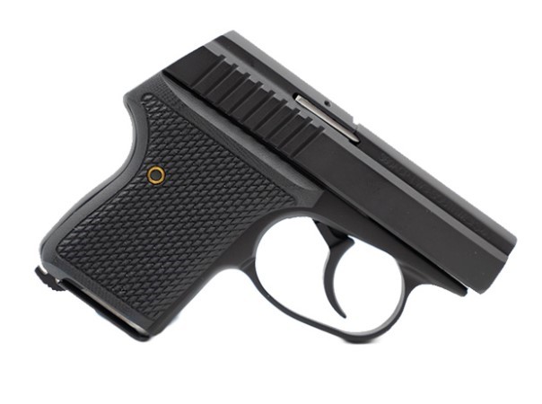 SEECAMP LWS-32 2″ 32ACP BLK 6RD