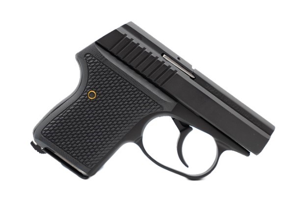 SEECAMP LWS-32 2″ 32ACP BLK 6RD CA