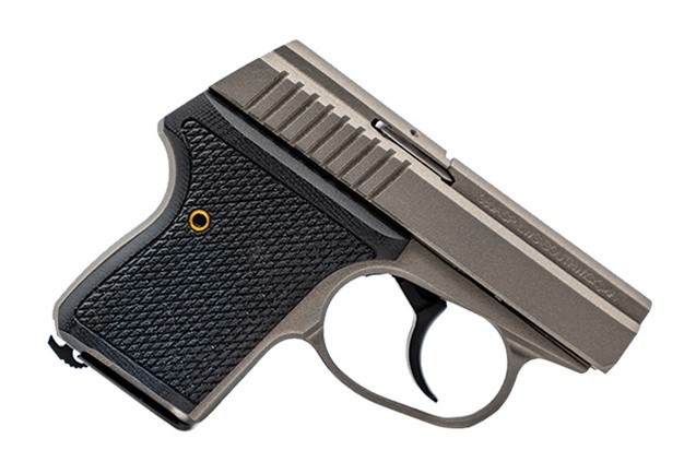 SEECAMP LWS-380 2″ 380ACP GMGREY 6