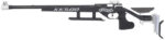 WALTHER KK500 BLACKTEC 22LR – PRECISION RIFLE BLACKTEC STOCK - View 2