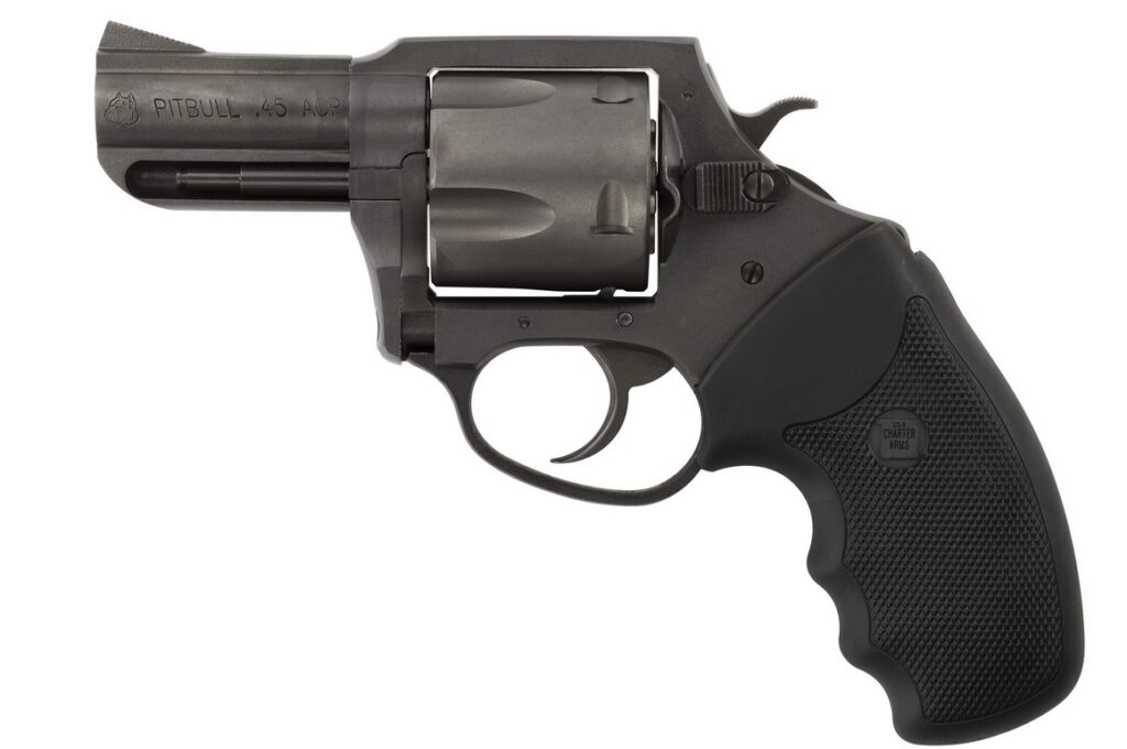 CHARTER ARMS CHARTER PITBULL 45ACP NIT 2.5″