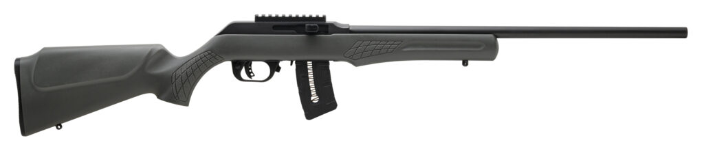 ROSSI RS22 22MAG BLK/GRAY 21″ 10+1 #