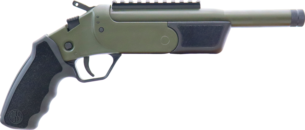 ROSSI BRAWLER 300BLK 9″ BL/ODG     #