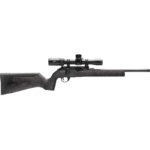 WAI HAM FRC B1 22LR ANTGRY 10R