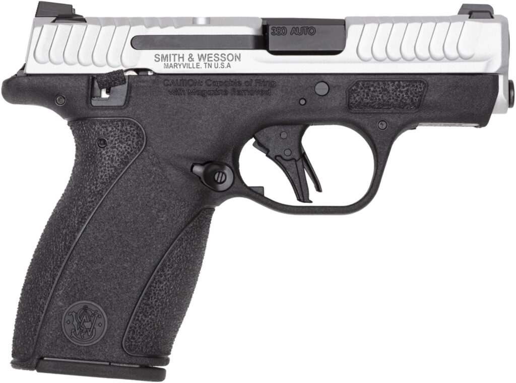 S&W BG2.0 380 12R 2TN TS NS DE