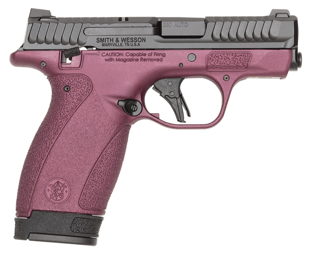 S&W BODYGRD 2.0    14661 380      TS H-319 BCF