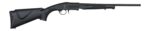 KEYSTONE SPORTING ARMS CRICKETT 410 SNGL SHOT BLK/SYN