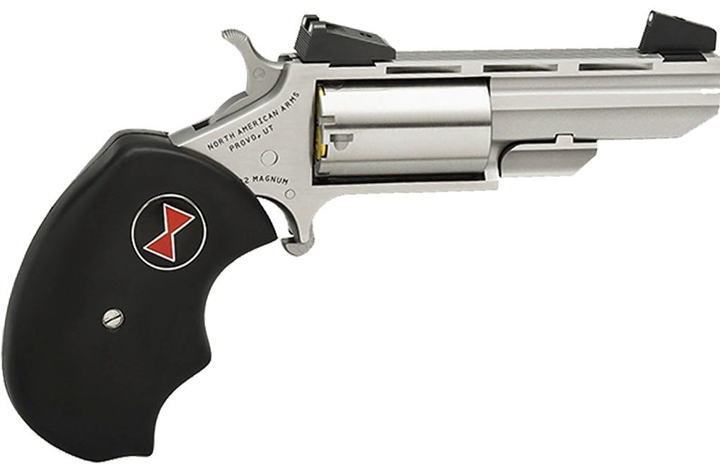 North American Arms Black Widow 22 LR 5-Shot Mini Revolver NAA-BWLA