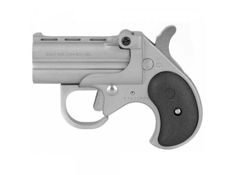 Bearman Big Bore Derringer 38 Spl Stainless Steel W/ Trigger Guard BBG38SB