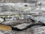 Mossberg 12 GA Ulti-mag 24″ Model 835 Shotgun Break-up 62235 - View 7