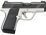 kimber_evo_sp_1_3.jpg