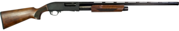 G-Force-GFP3-GFP31228WNT-643477862933.png