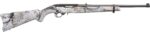 ruger_10-22_carbine_1_2.jpg