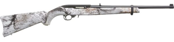 ruger_10-22_carbine_1_2.jpg
