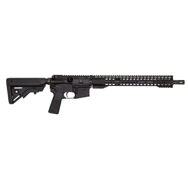 RAFFR16-300HBAR-15SHR_1_HR.jpg