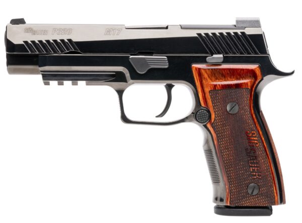 p320m17cerebd06.jpg