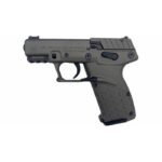 Kel-Tec-P17-P17TNG-640832008876.jpg